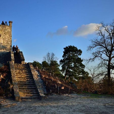 Le Denecourt - à deux pas de la Gare et de la Forêt de Fontainebleau Avon Esterno foto